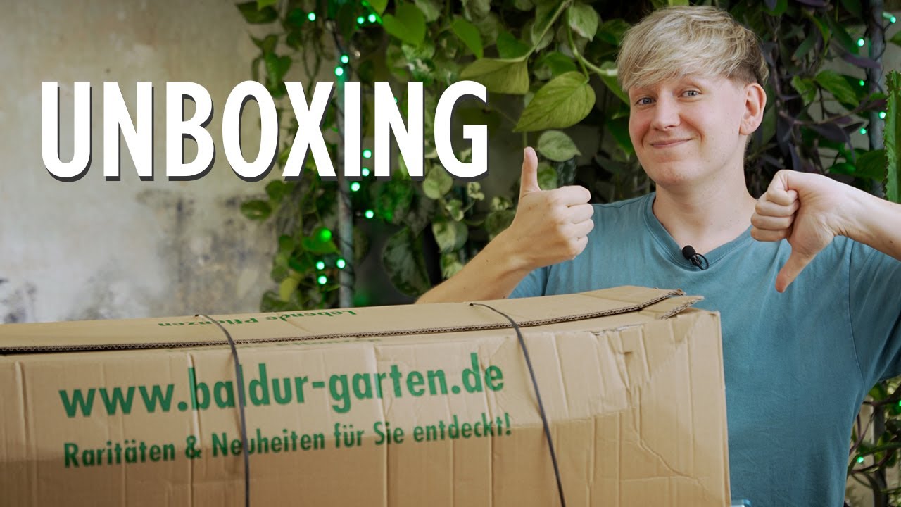 NIE wieder 😱 So traurig verschickt NUR Baldur Garten Pflanzen für Garten & Balkon 🥲 | Unboxing