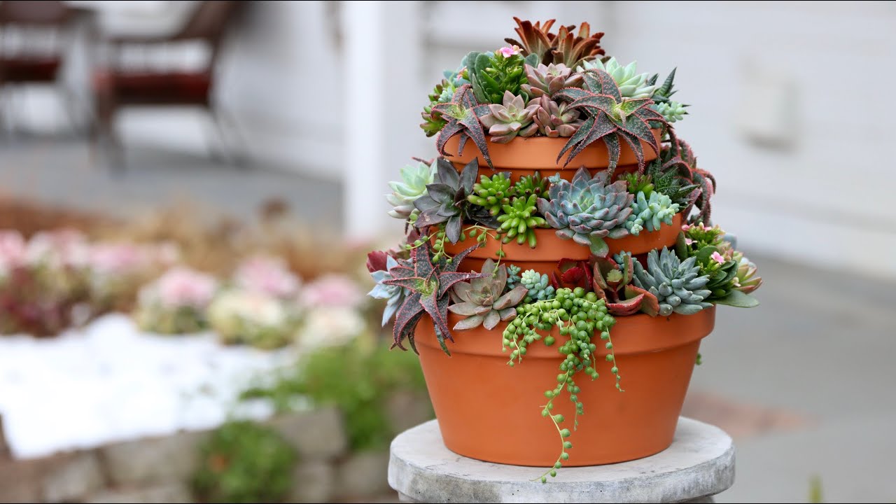 Succulent Tower 🌿// Garden Answer