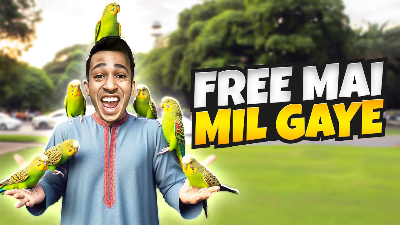 Free Ma Parrots Mil Gye 🦜| Pakistan Vlog | Fm Zeeeshan