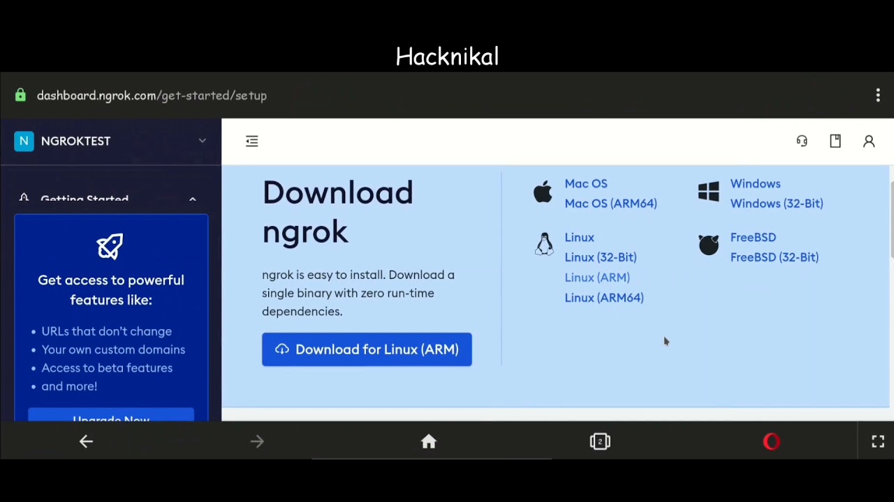 Installation of NGROK on Android Device  | Hacknikal