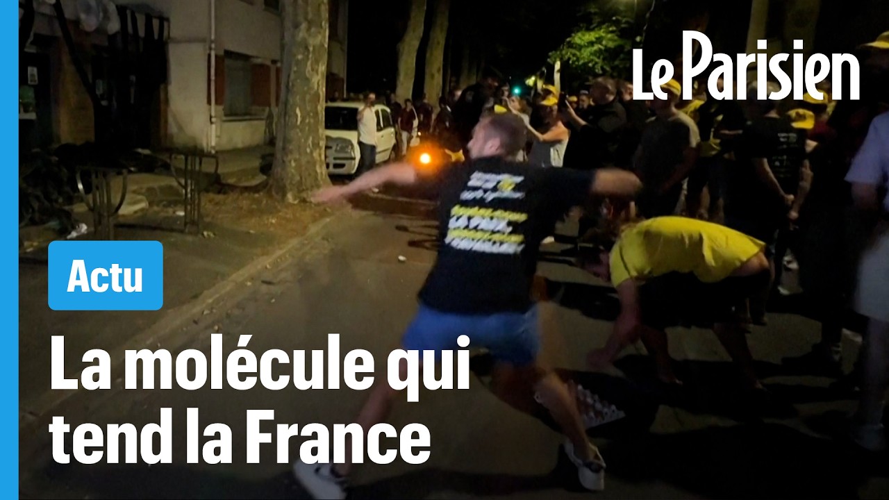 Loi Duplomb : pourquoi l’acétamipride crée autant de fractures