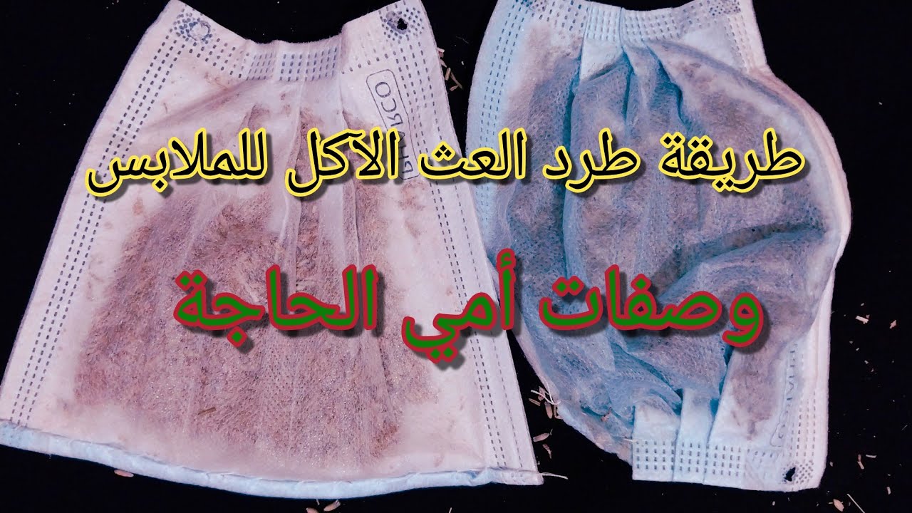 أسهل طريقة لطرد عث الملابس.  Easiest Way To Expel Clothes Moths