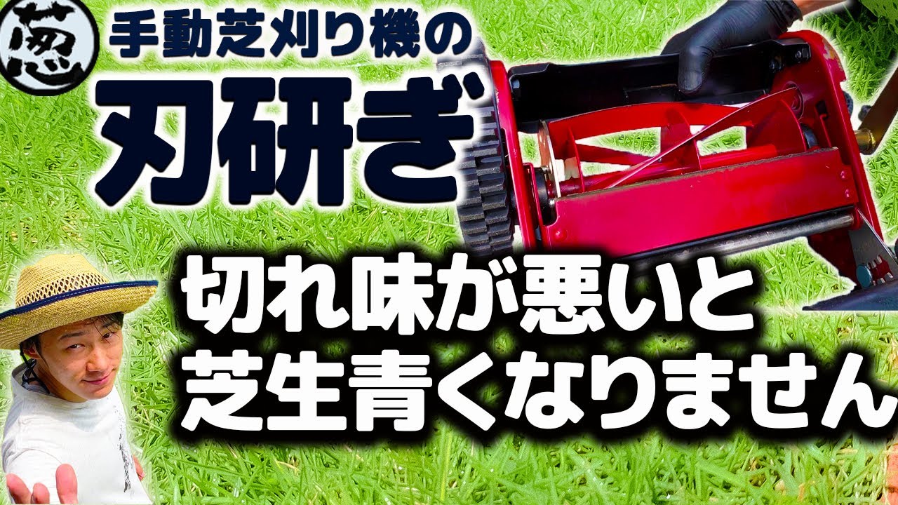 【刃研ぎ】青くキレイな芝生にするには切れ味が命【手動芝刈り機研磨作業】キンボシラッピングキット・庭DIY・ガーデニング