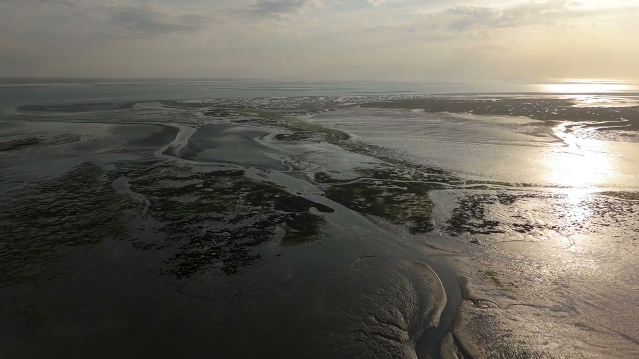 Schiermonnikoog Haven | Nederland