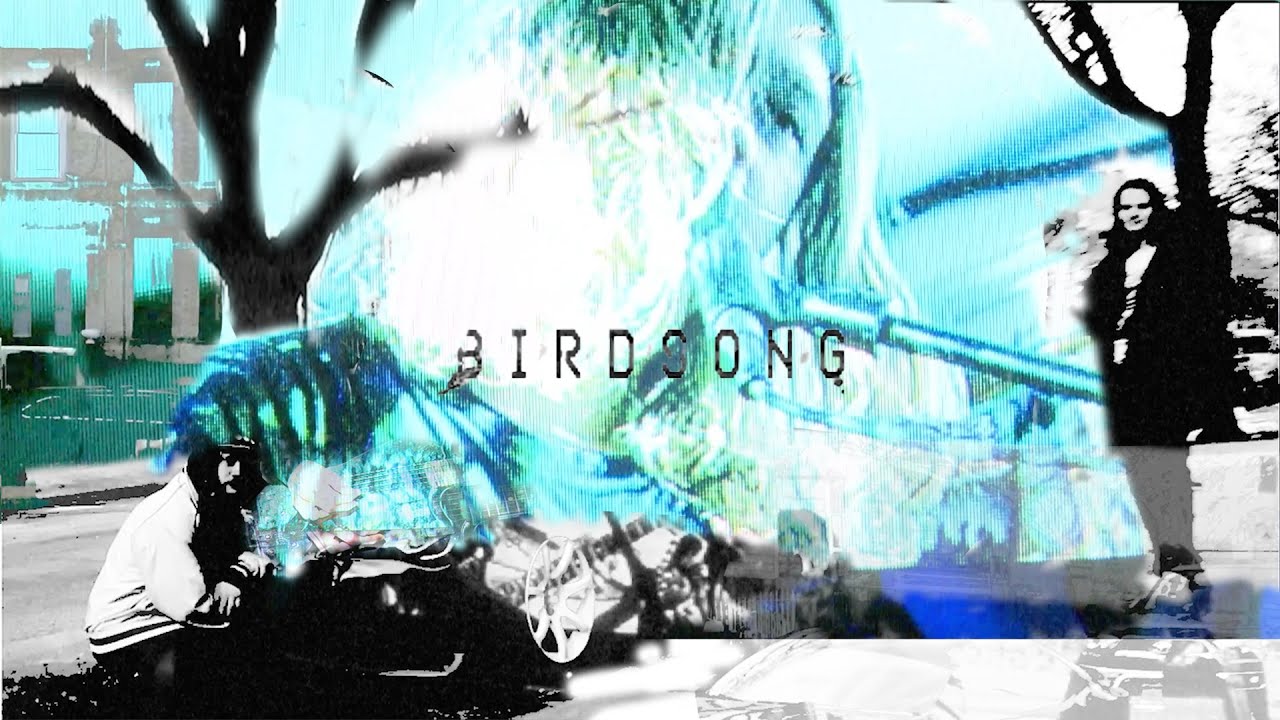 Punchlove - Birdsong (Music Video)