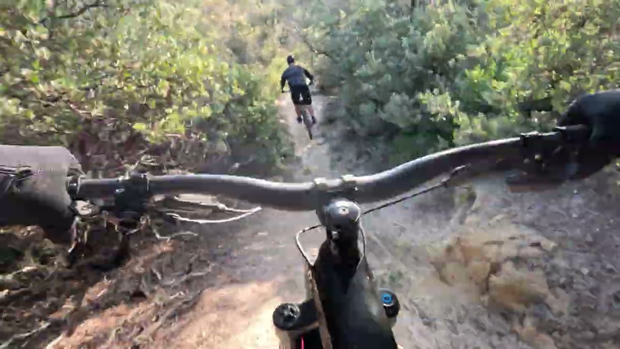 Wasted Chasing Will on Sandy Death