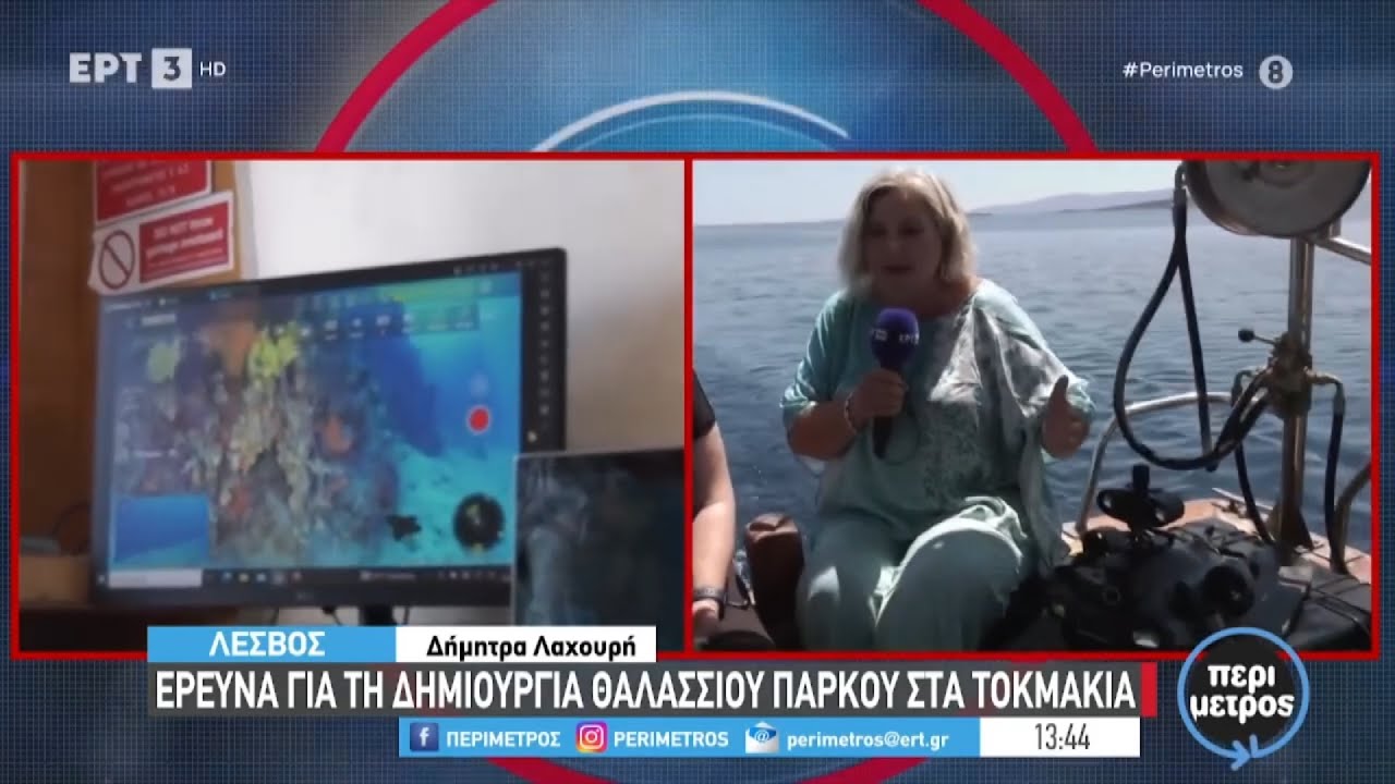 Πρόταση για καταδυτικό πάρκο στα Τοκμάκια Λέσβου για τη διάσωση του δάσους των Γοργονιών