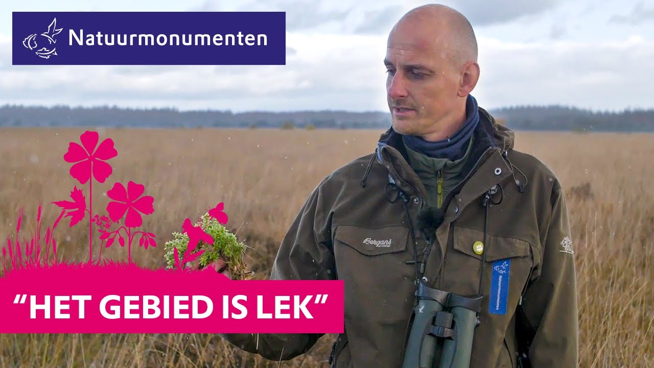 Belangrijke waterbuffer Fochtelo&euml;rveen wordt hersteld