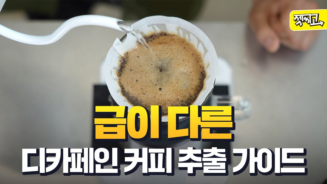 디카페인 핸드드립 커피 잘 내리는 법☕ [아이덴티티커피랩 3부]