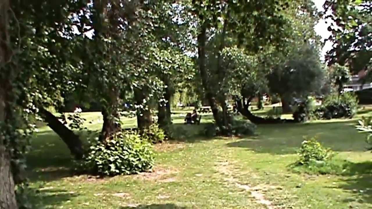 The New Forest, places to visit here, Ballard Lake, New Milton, Hampshire, England. (10)