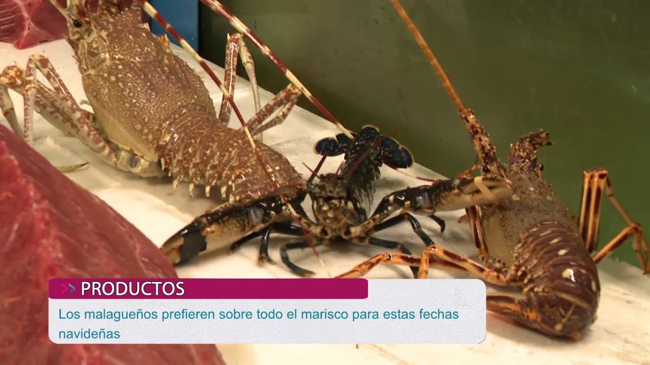 MERCAMALAGA