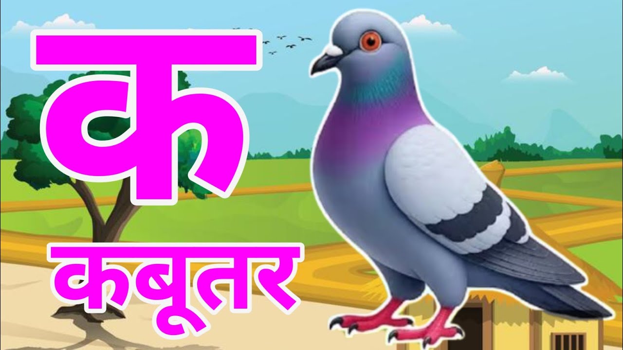 क से कबूतर, अ से अनार k se kabutar a se anar | हिन्दी वर्णमाला | क से कबूतर अ से अनार,for kids