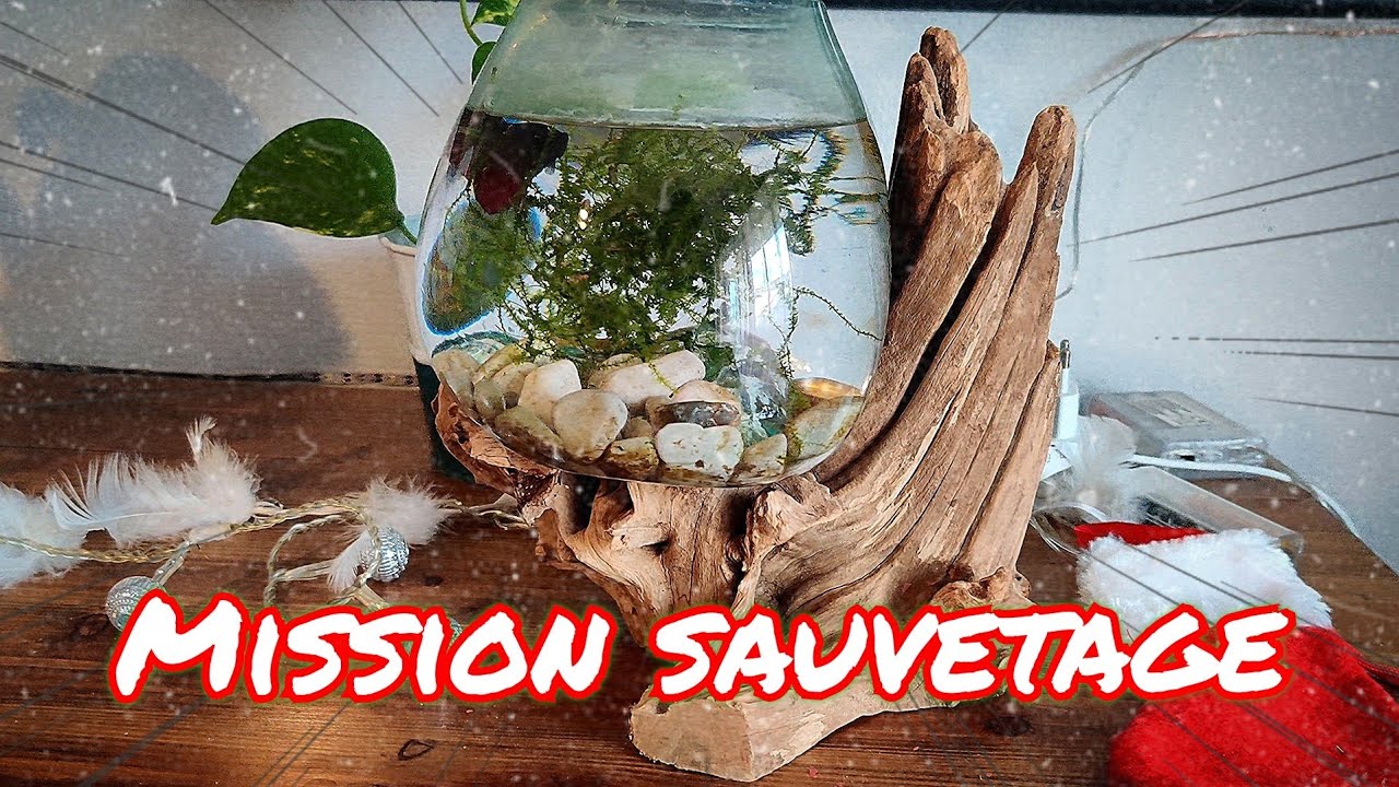 SOS d'un Combattant en détresse