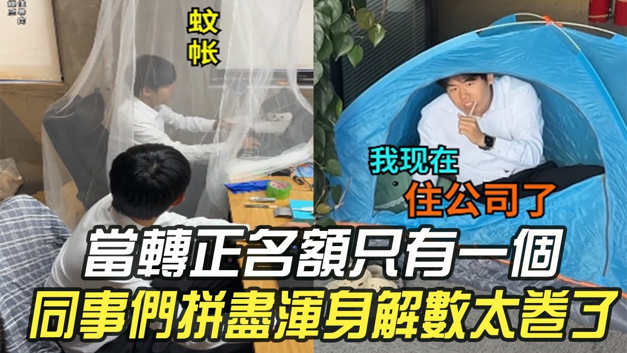 當轉正名額只有壹個，同事們拼盡渾身解數太卷了#維維啊 #搞笑 #內容過于真實 #沙雕 #打工人