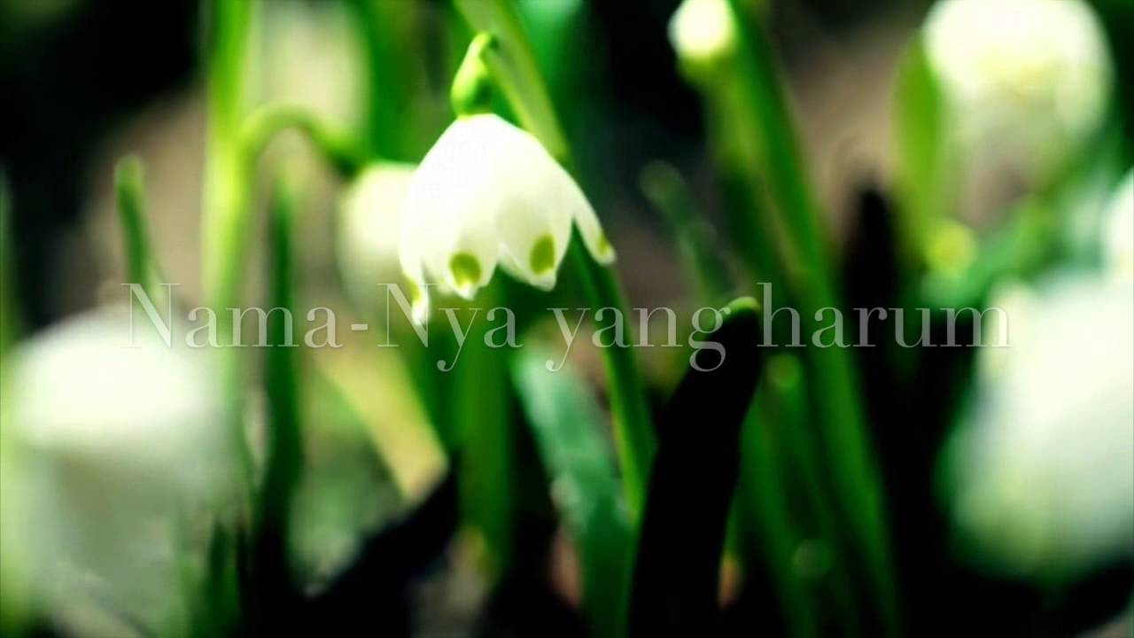 My Hymns - A Divine Romance (Indonesian Version) - Written by: H. G.
