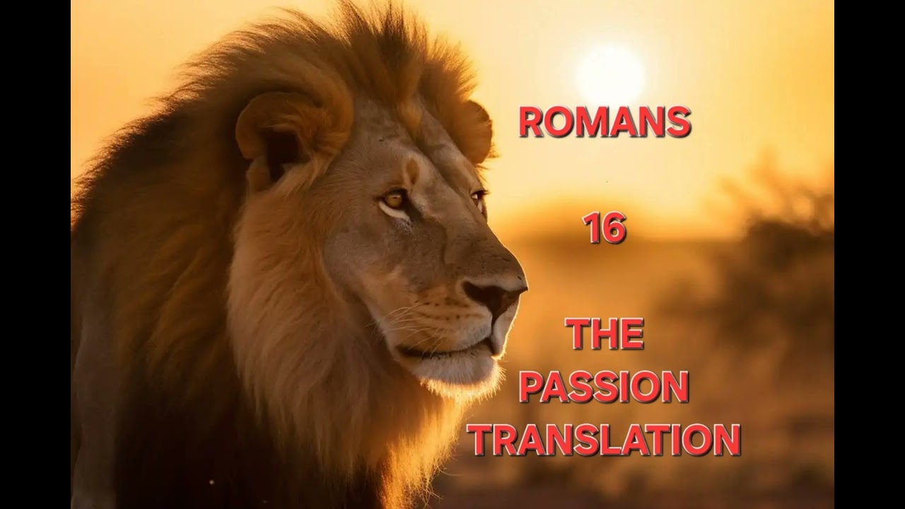 Romans 16 The Passion Translation TPT Audio Bible 