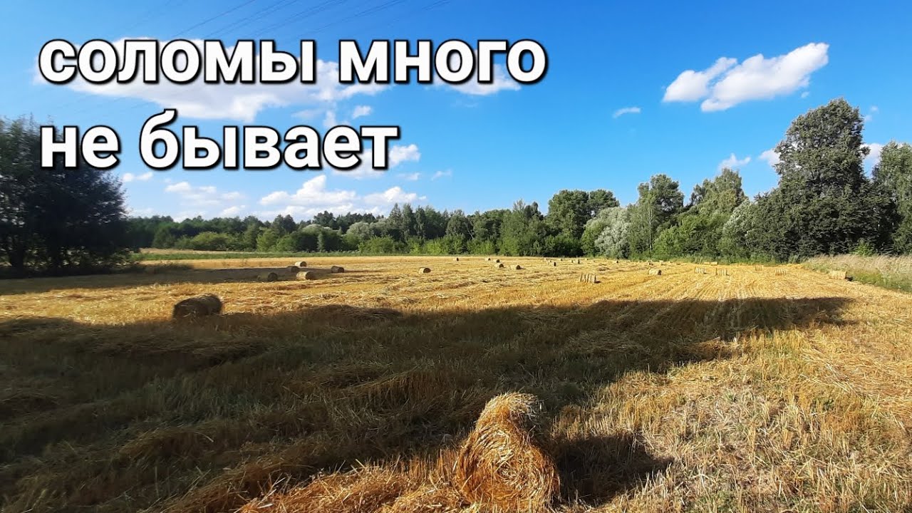 Заготовка соломы. Трактор Т25 и Пресс-подборщик YK0850