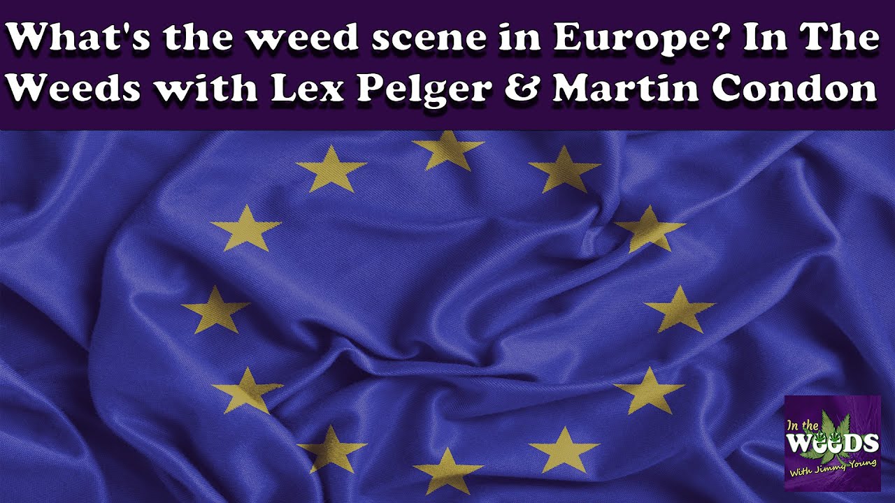 What's the weed scene in Europe? In The Weeds with Lex Pelger & Martin Condon