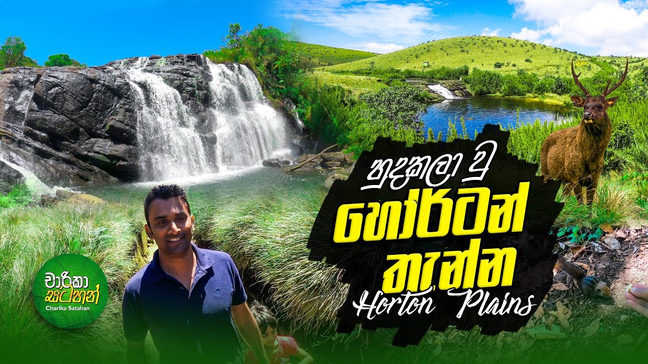 හුදෙකලා වූ හෝටන්තැන්න | Horton Plains National Park - World's End (Travel Vlog - 129)