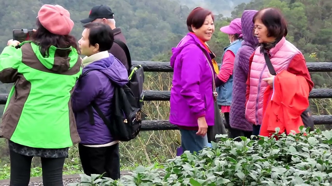 知性之旅。新