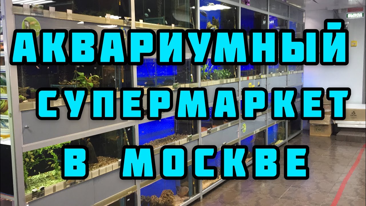 Обзор Аква Лого