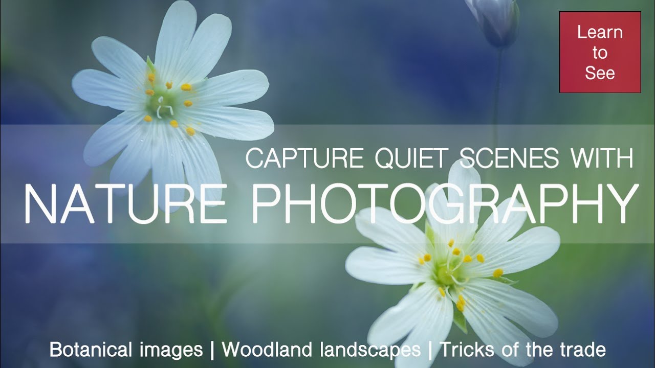 Join Me and Capture Quiet Scenes with Nature Photography