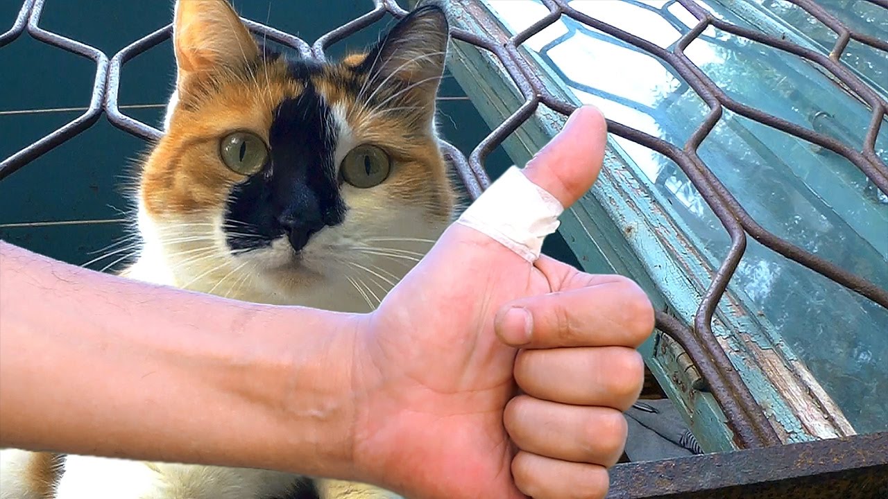 7 ЛАЙФХАКОВ КОТОРЫЕ УПРОСТЯТ ВАШУ ЖИЗНЬ
