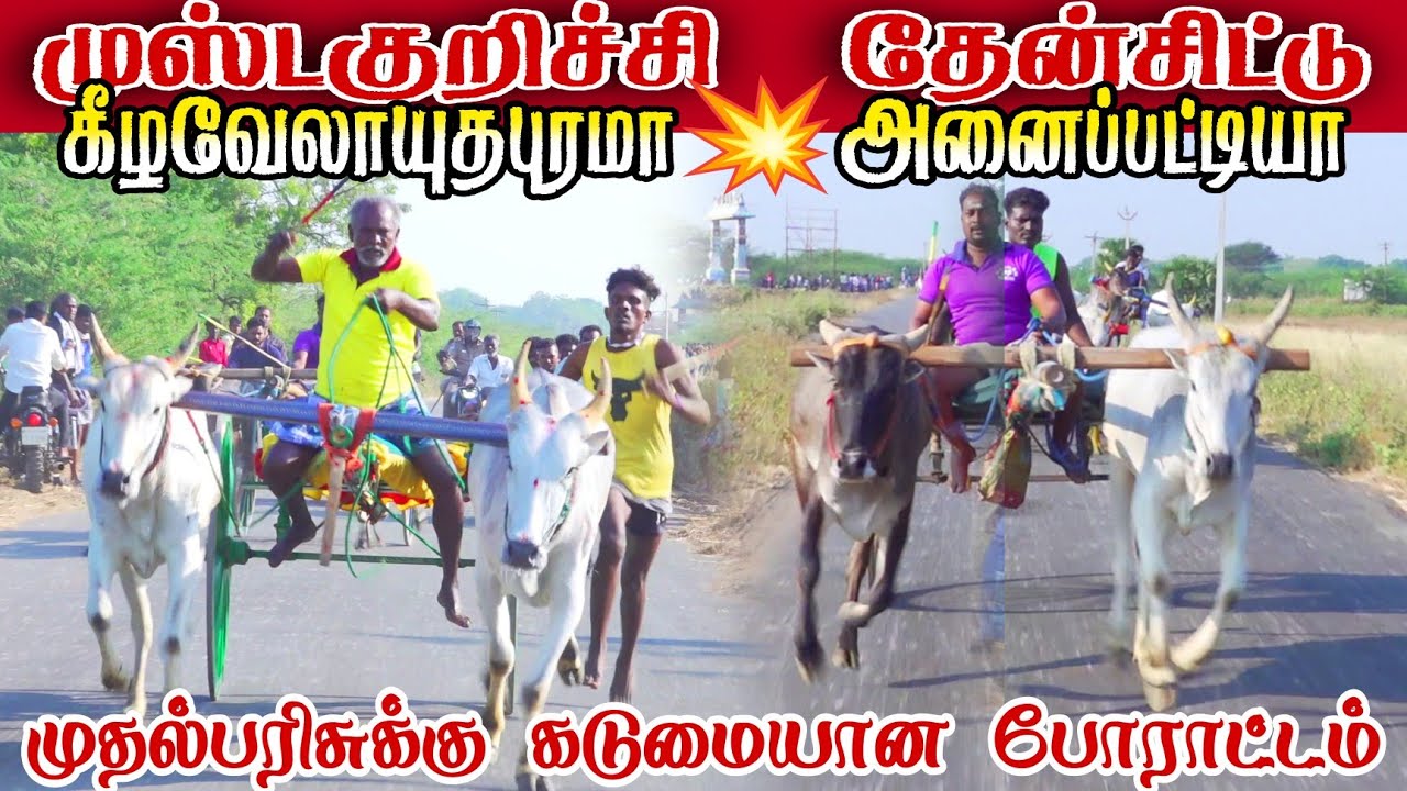 முஸ்டக்குறிச்சி தேன்சிட்டு பந்தயம்