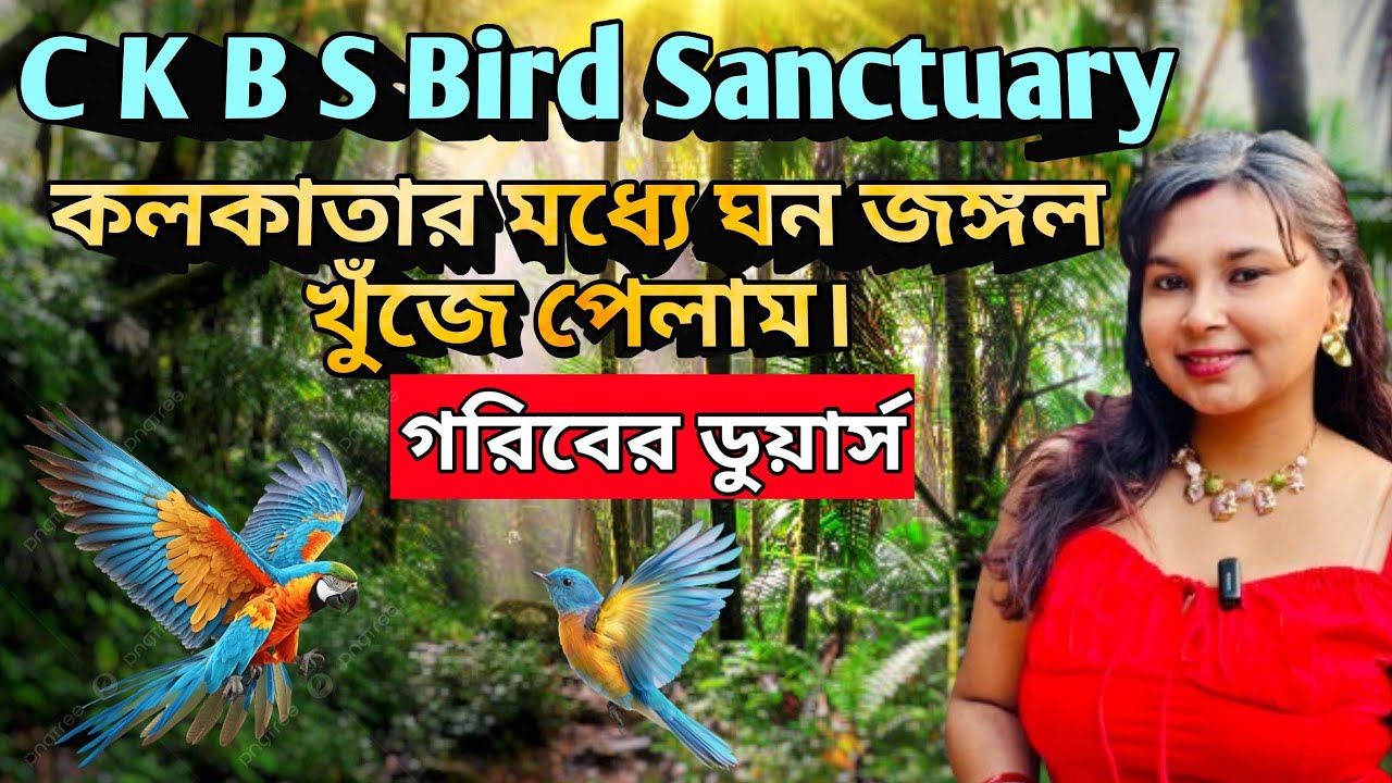 Chintamani kar bird sanctuary
one day tour near kolkata