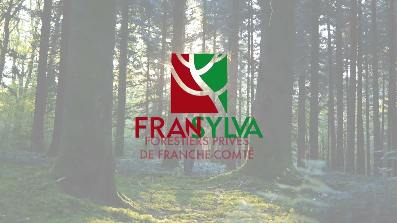 Mieux connaître la forêt privée, ses enjeux et le rôle du propriétaire forestier.