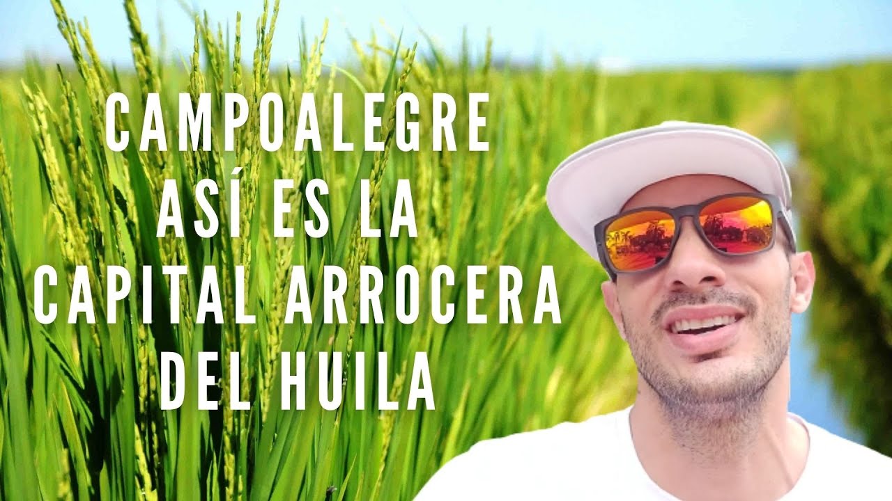 CAMPOALEGRE - ASÍ ES LA CAPITAL ARROCERA DEL HUILA