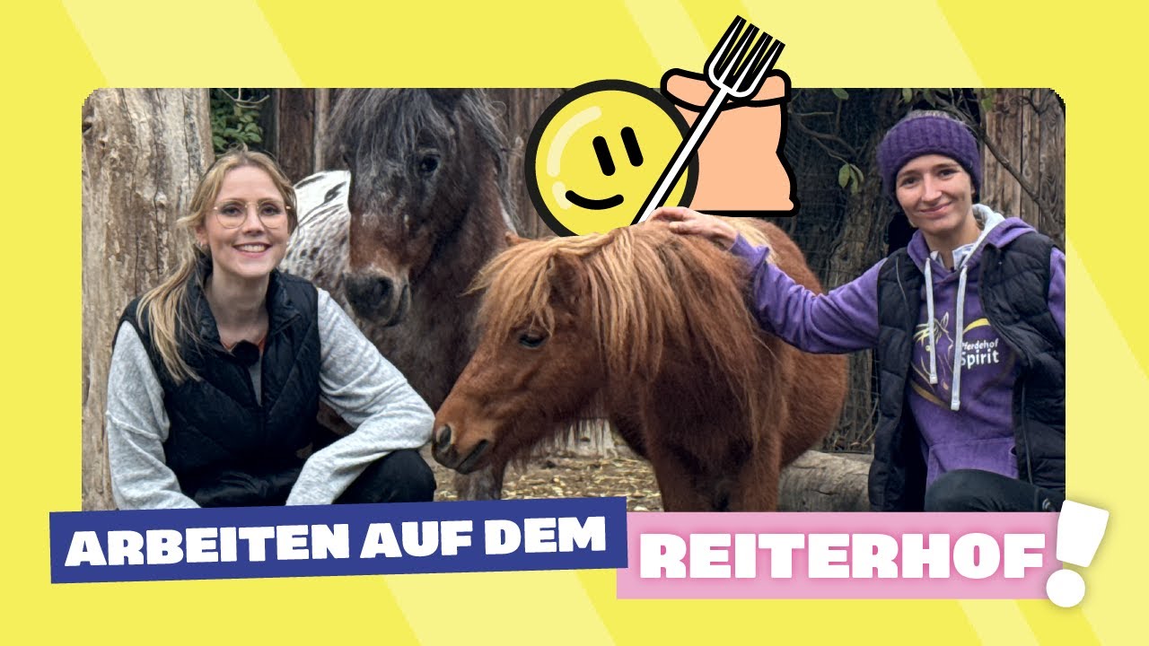 Ein Tag als Reitlehrerin | Hallo, was machst Du?