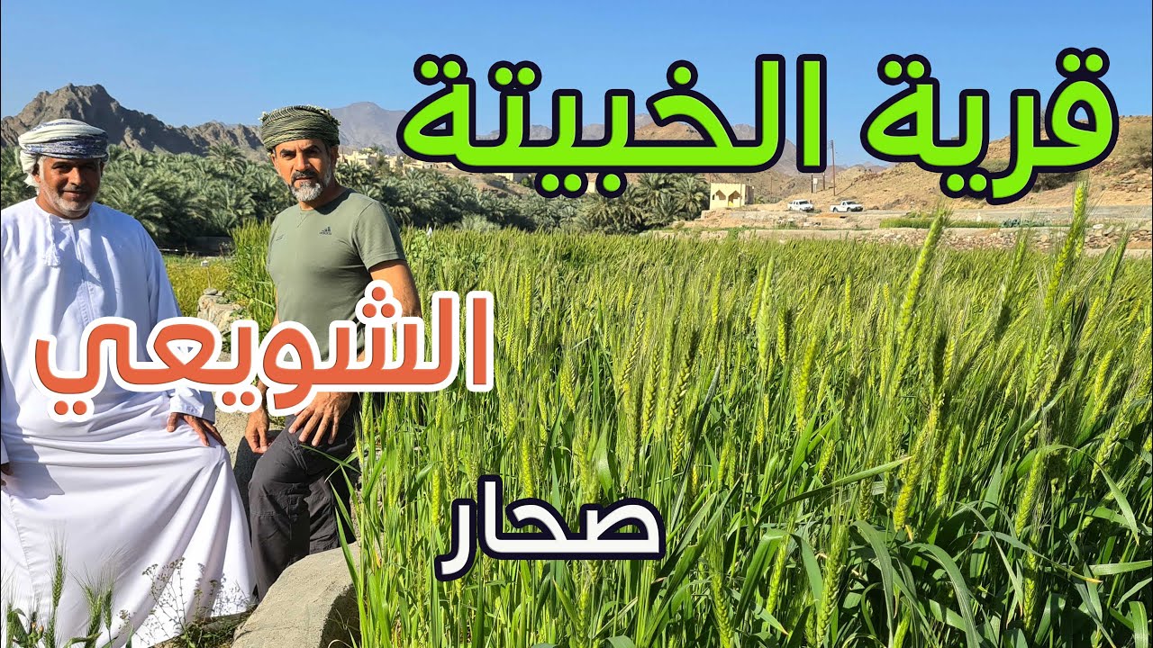 قرية الخبيتة  والشويعي | وادي عاهن إحدى القرى الجميلة في صحار | سلطنة عمان