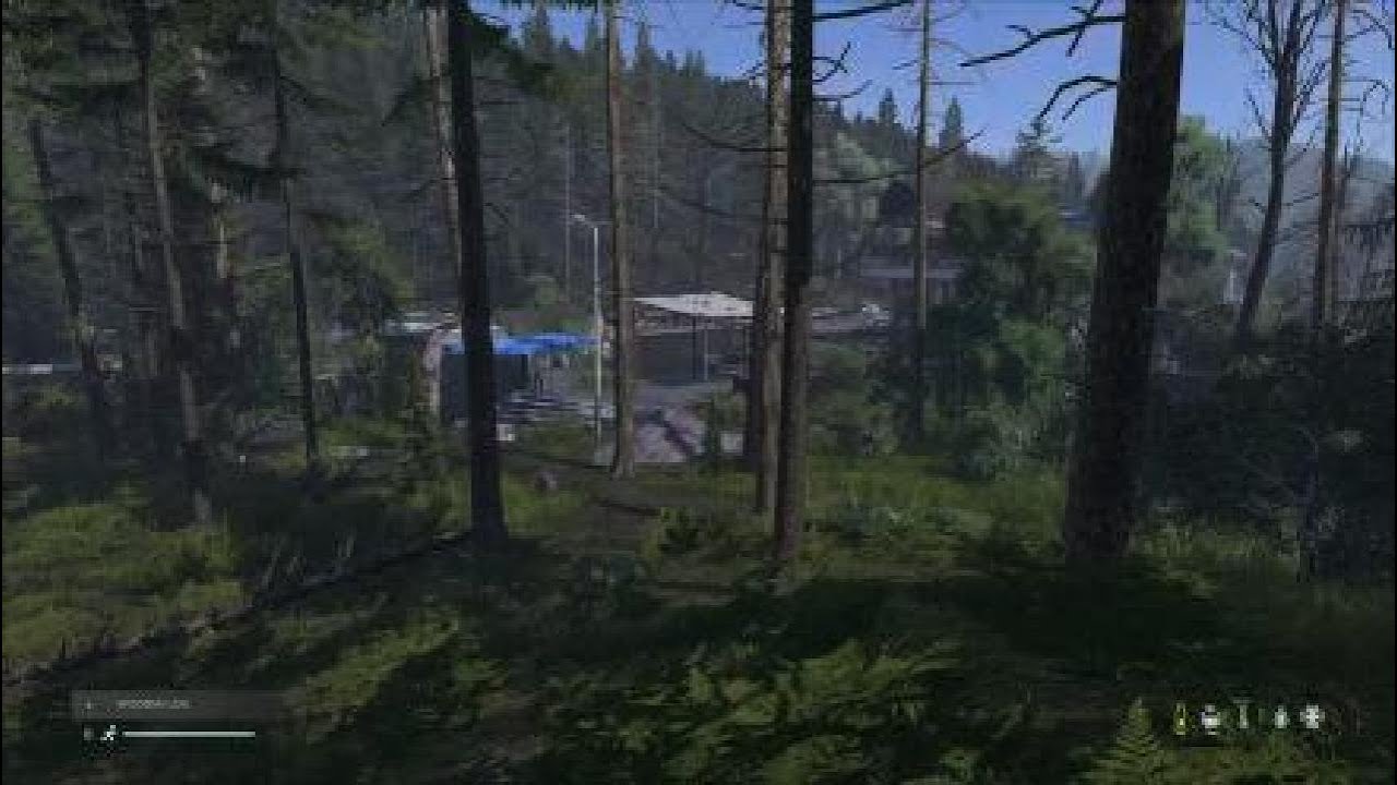 The life of a solo builder DayZ PS5 Livonia