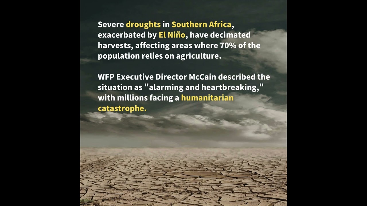 Drought Devastates Southern African Harvest#UN #worldnews #UVS #SDGs #SouthernAfrica #agriculture