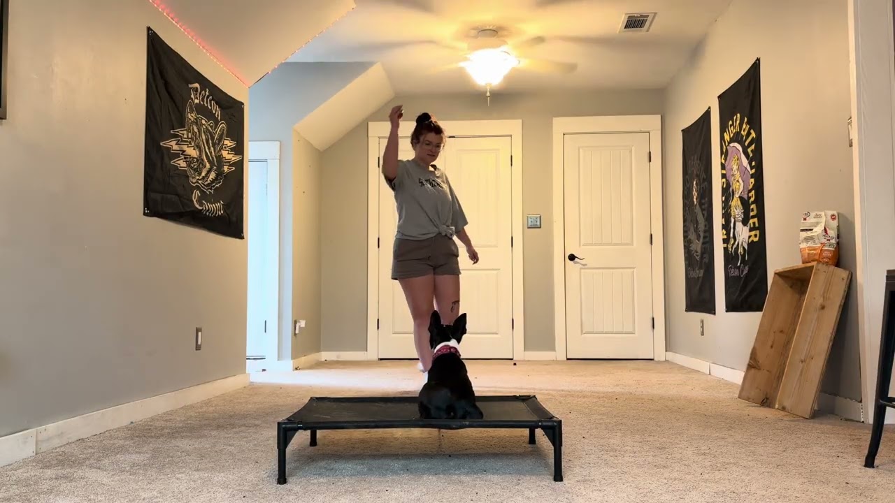 JUMBIE: introducing play to training 