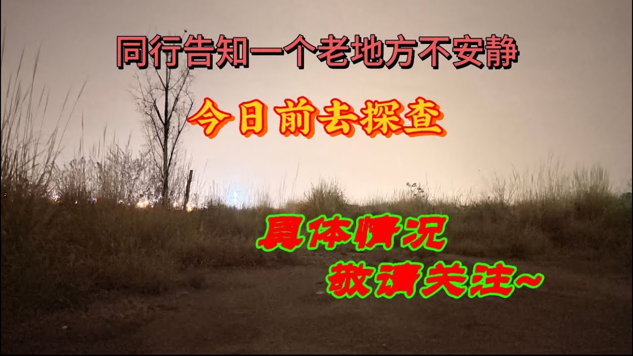 19 Mar 2026 玄門陰陽師同步直播