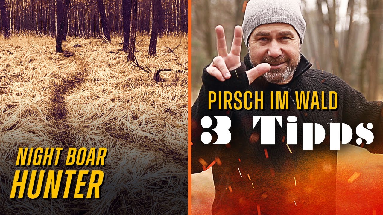 Nachts im Wald pirschen - Das musst du wissen! Die 3 besten Tipps vom Night Boar Hunter Chris 🐗
