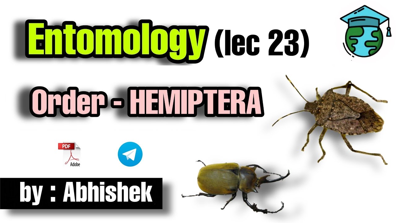 Order - HEMIPTERA part 1 lec 23 • Go For Agriculture Education #icar #bhu #ibps