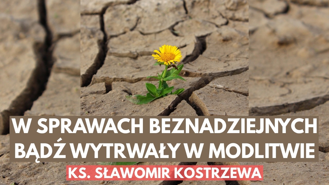W sprawach beznadziejnych bądź wytrwały w modlitwie - ks. Sławomir Kostrzewa