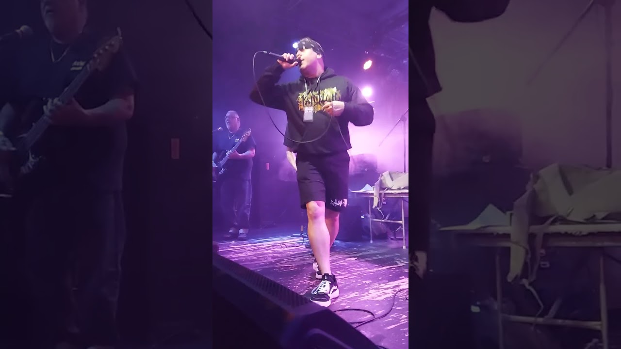 Luicidal- Institutionalized ( Suicidal Tendencies cover) minus part of the beginning 