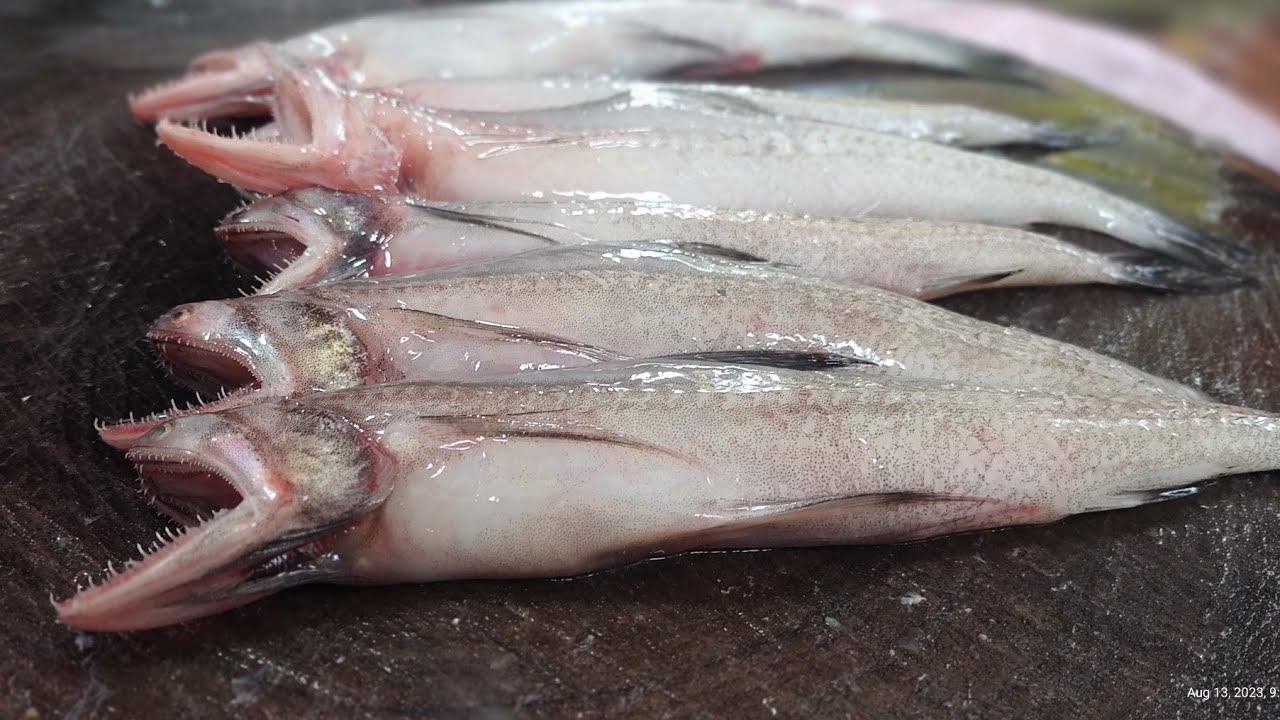Bombil ( Bombay duck ) fish cutting skills boneless