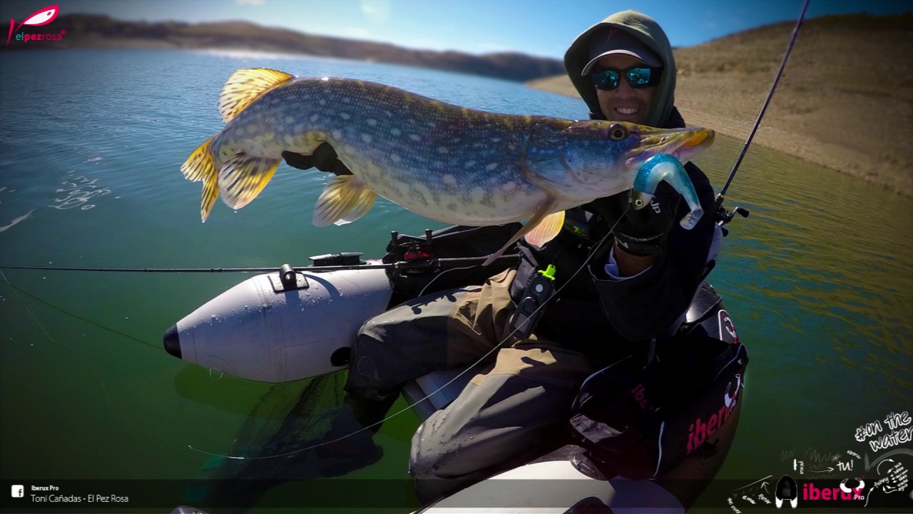 Pesca desde pato Iberux Pro Max con motor Float Plus System