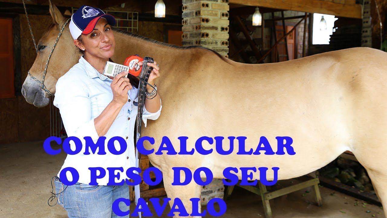 Esclarecendo dúvidas da fita de pesagem -Aprenda como pesar seu cavalo