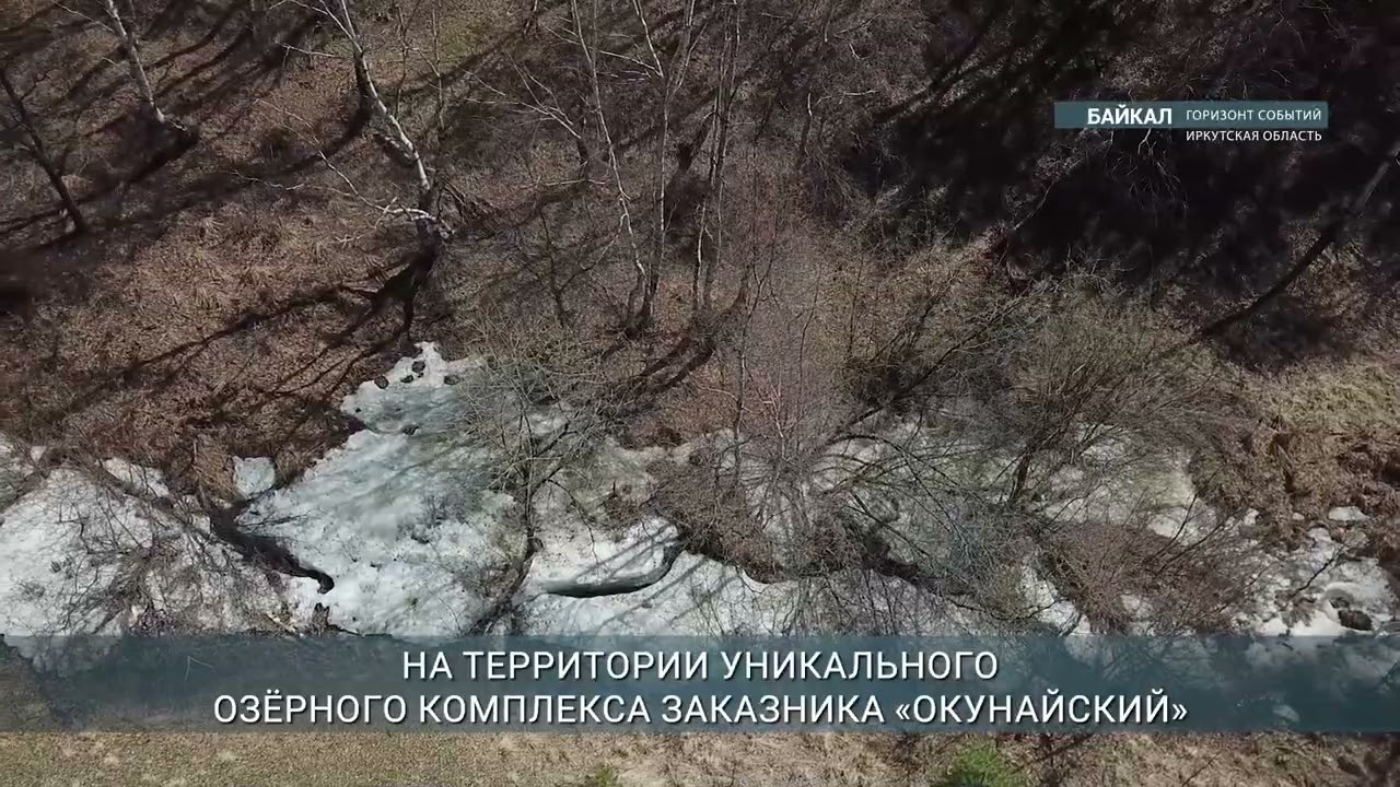 Семь природоохранных проектов реализуются в Иркутской области в 2026 году