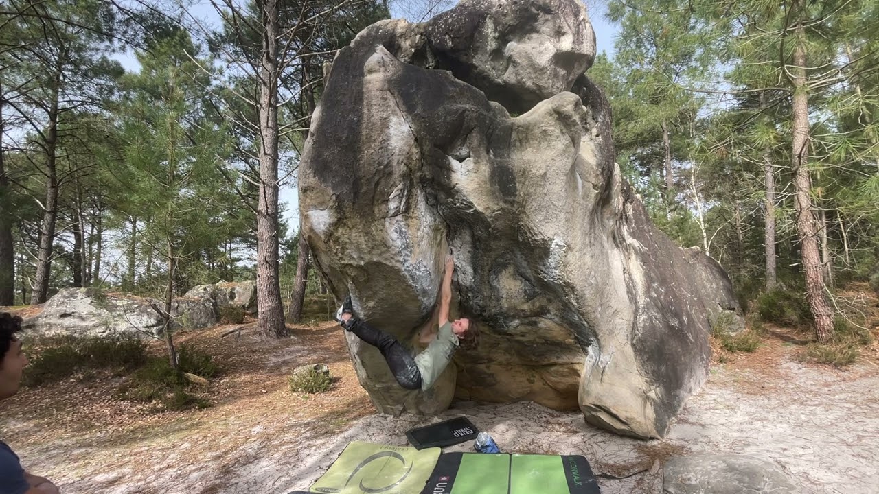 Retour aux sources (droite) 7b | 95.2 | Fontainebleau 