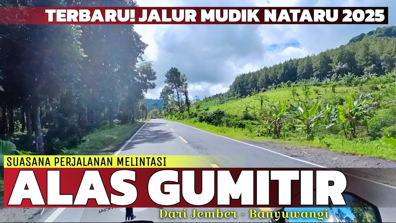 Mudik Lewat Jalur Alas Gumitir! Suasana Perjalanan Melintasi di Jalur Gumitir Jember - Banyuwangi...
