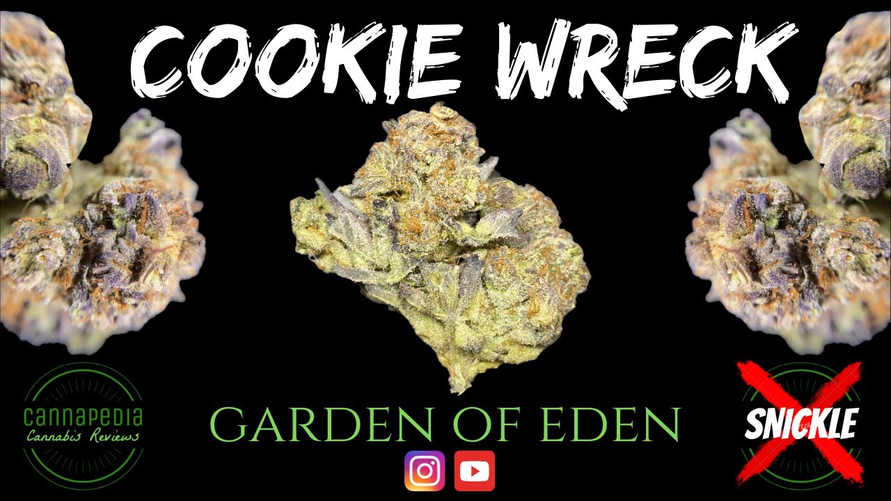 Cookie Wreck Strain Review - Garden Of Eden - Cannapedia