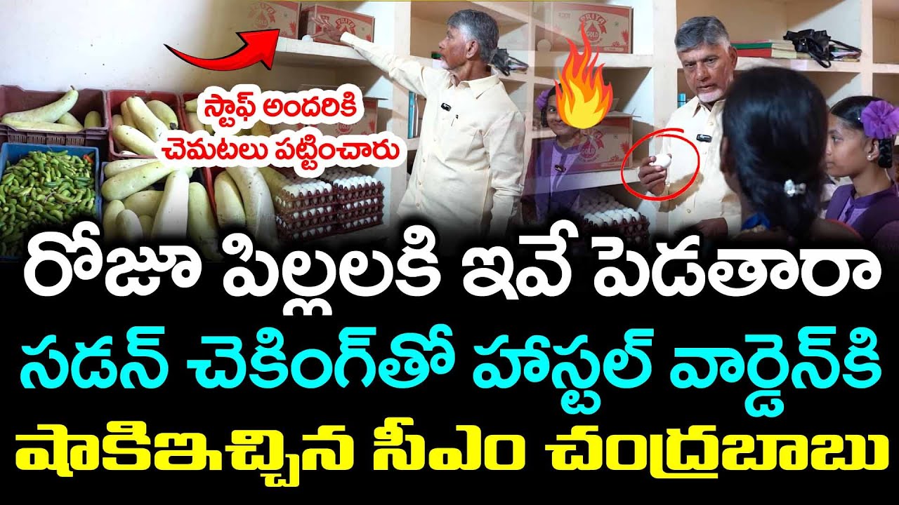 CM Chandrababu Sudden Inspection : Praja Theerpu