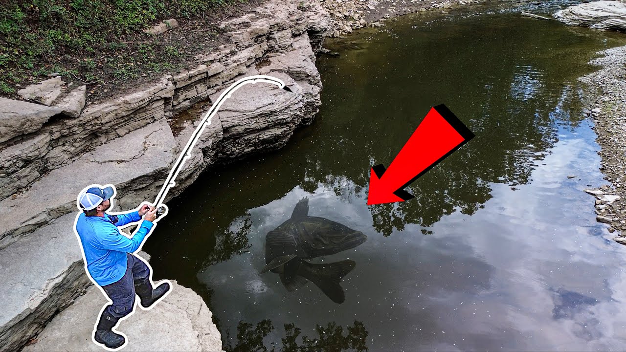 A SURPRISE New PB was in This DEEP Creek!!! (BIG Fish!)